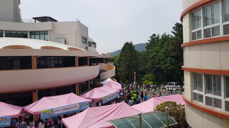 20190505_110828.jpg